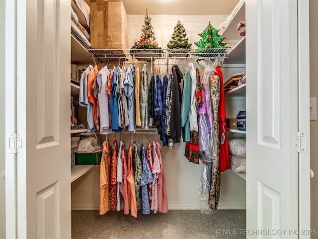 view of walk in closet