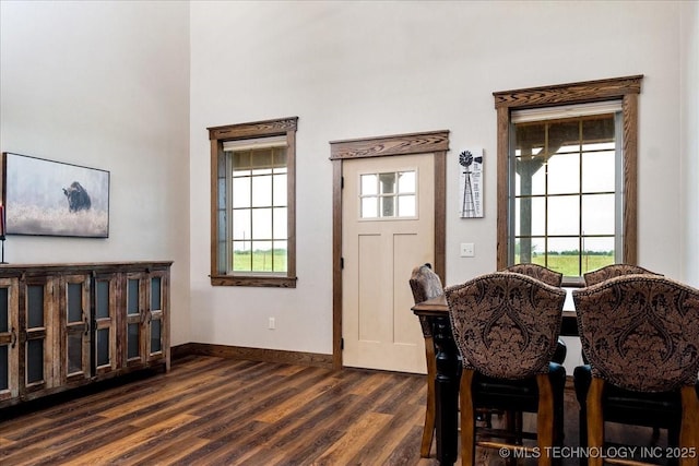 dining space with baseboards and dark wood-type flooring