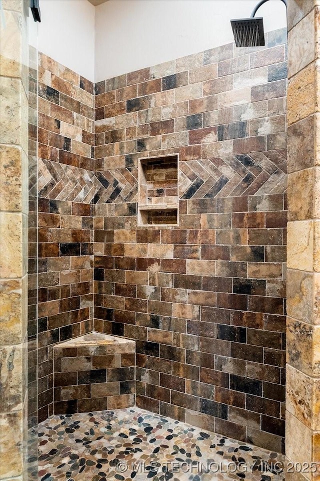 room details with tiled shower