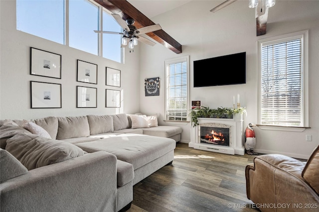 living room with a warm lit fireplace, ceiling fan, wood finished floors, baseboards, and beamed ceiling