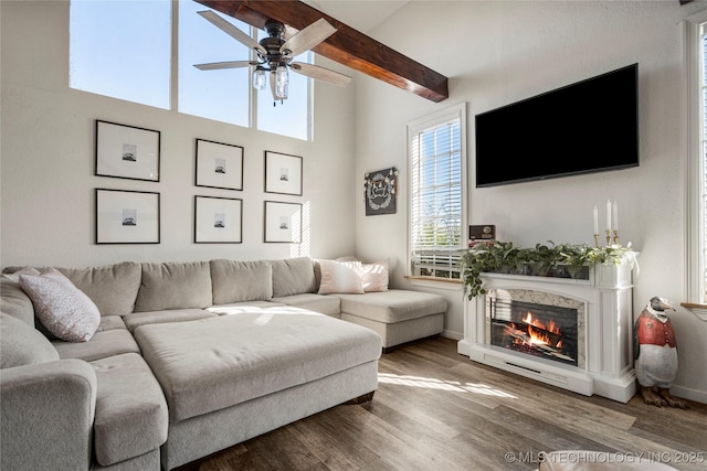 living area featuring wood finished floors, beamed ceiling, a glass covered fireplace, and a ceiling fan