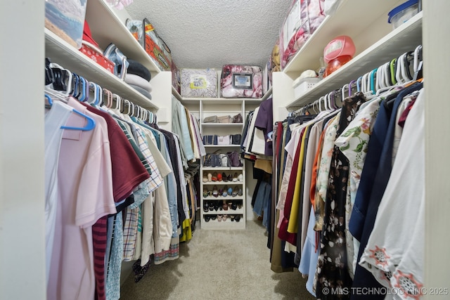 walk in closet featuring carpet floors