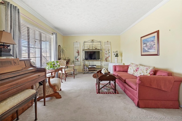 living room featuring ornamental molding, carpet, and a textured ceiling