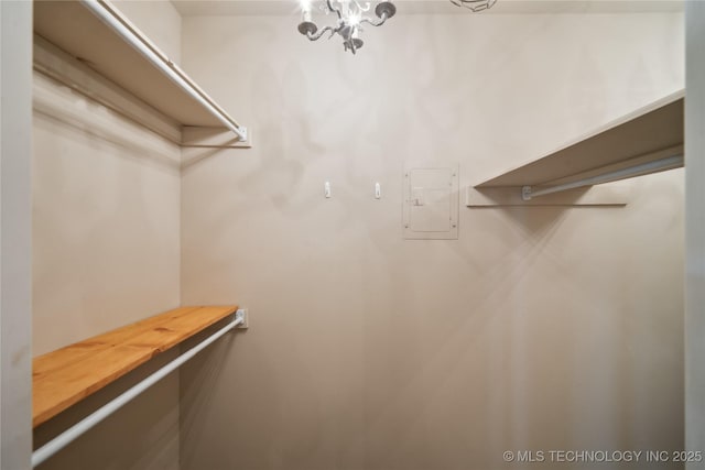 view of walk in closet