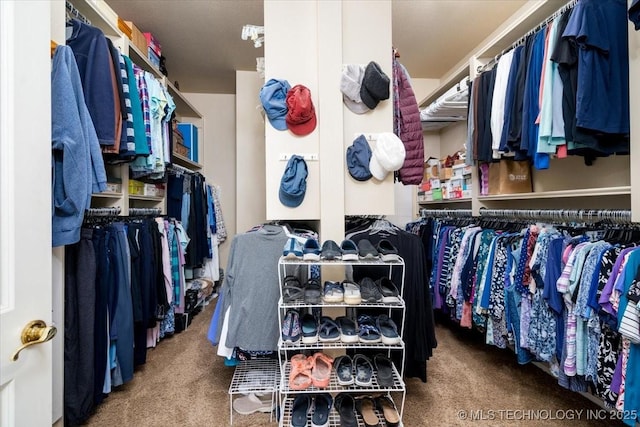 spacious closet with carpet flooring