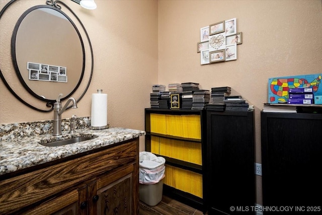 bathroom featuring wood finished floors and vanity