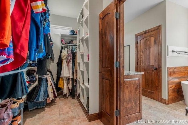 view of spacious closet