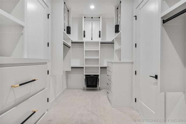 spacious closet featuring light carpet