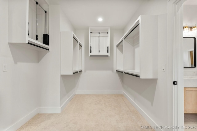 walk in closet with light carpet