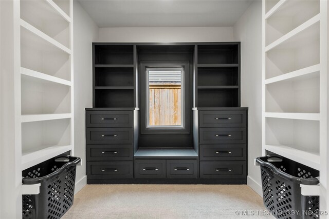 spacious closet featuring light colored carpet