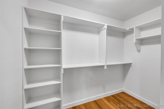 walk in closet featuring wood finished floors