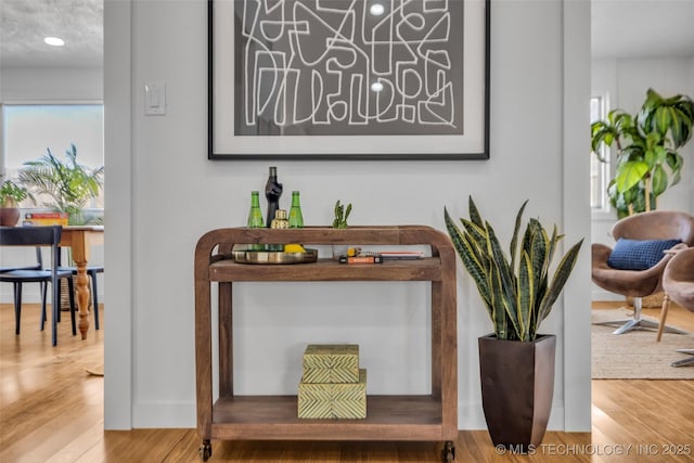 interior details featuring wood finished floors