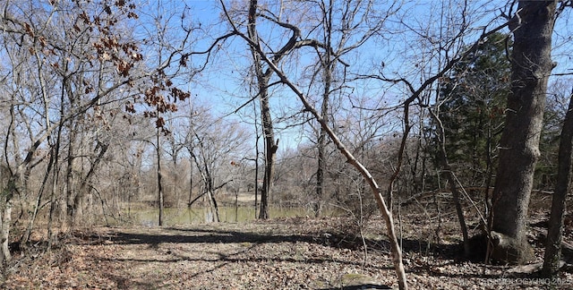 view of landscape featuring a forest view