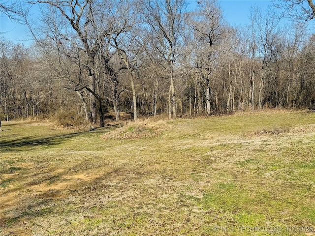 view of yard featuring a forest view