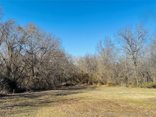 view of local wilderness