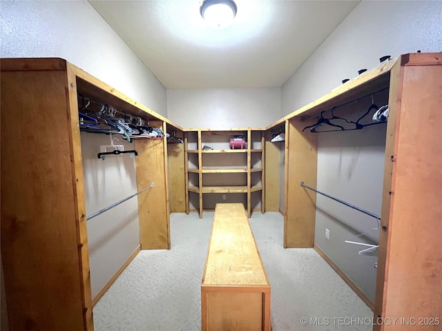 view of walk in closet