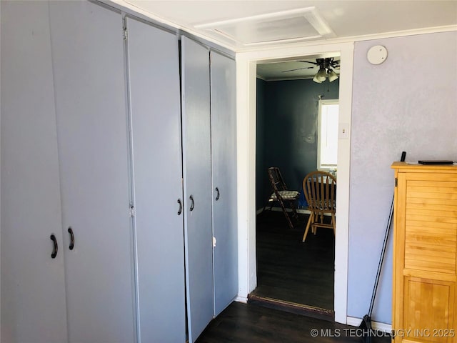 hallway with dark wood-style flooring