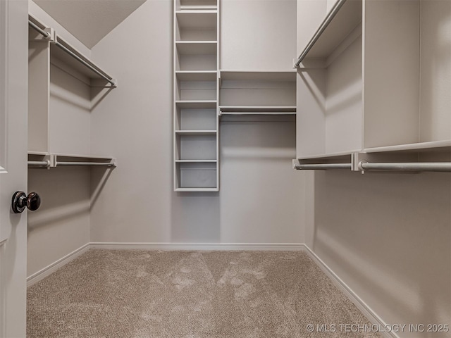 spacious closet with carpet flooring