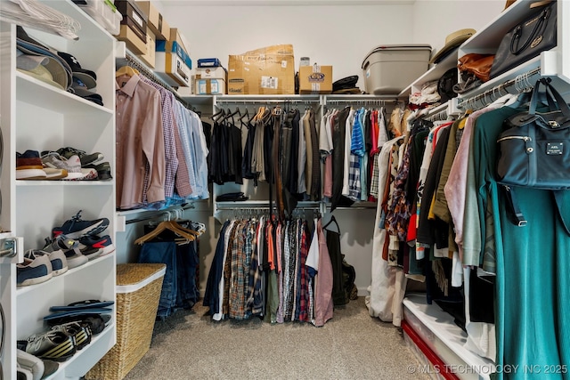 spacious closet with carpet floors
