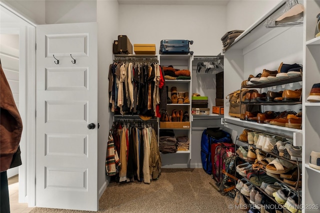 walk in closet featuring carpet flooring