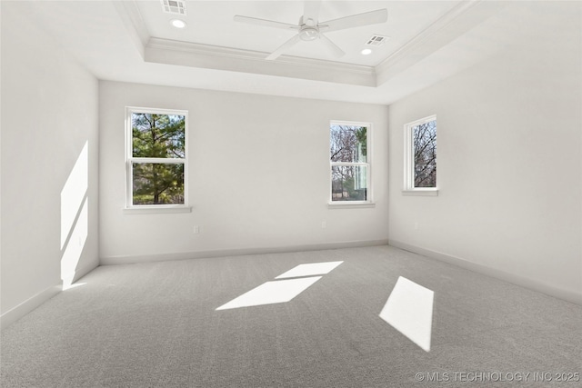 empty room with a tray ceiling, plenty of natural light, and crown molding