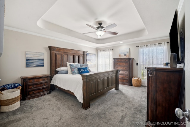 bedroom featuring a tray ceiling, carpet floors, a ceiling fan, and ornamental molding