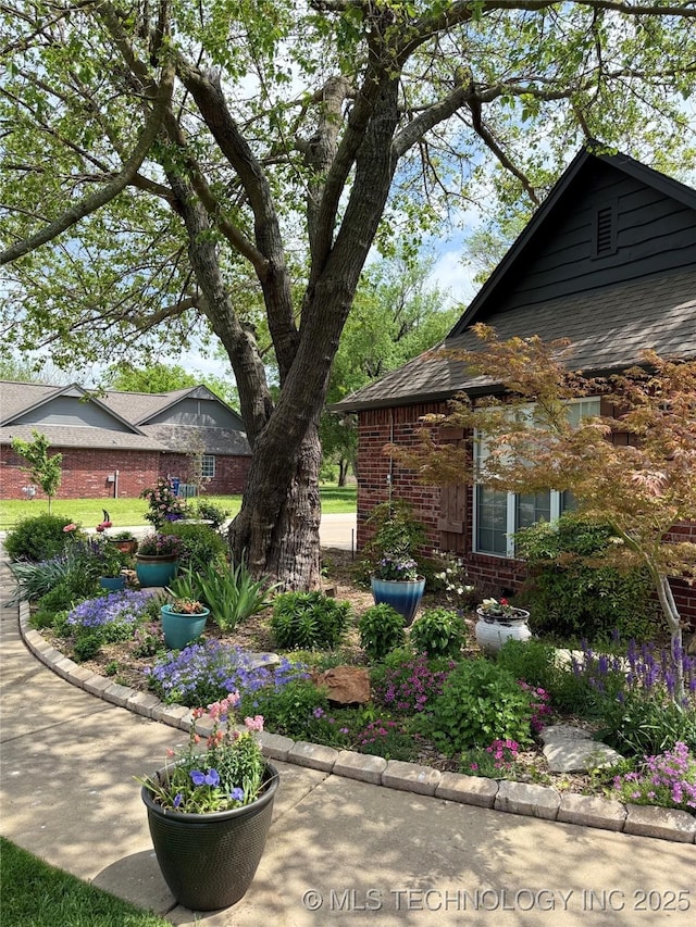 view of property exterior featuring a shingled roof and brick siding