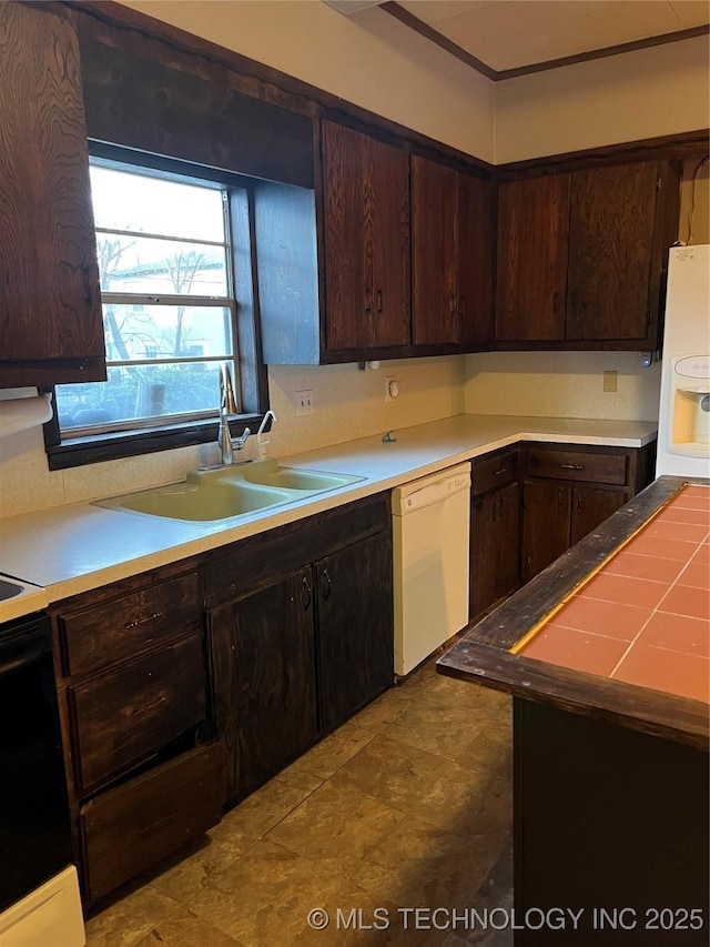 kitchen with dark brown cabinetry, white appliances, light countertops, and a sink