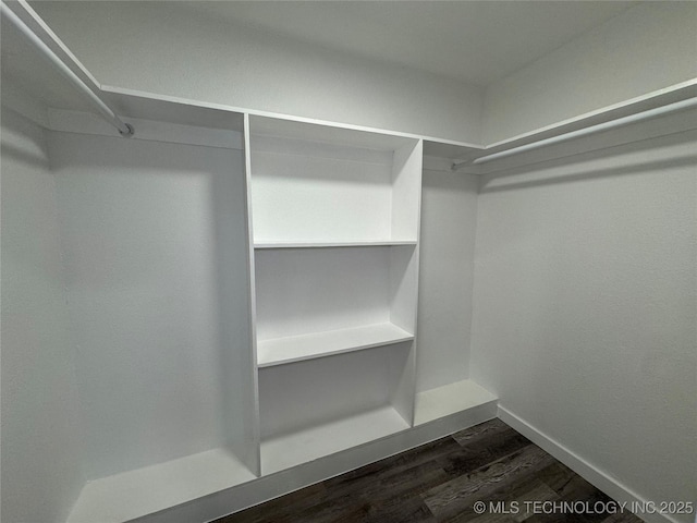 spacious closet featuring dark wood-style flooring