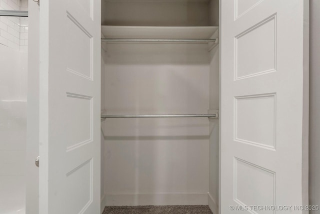 view of closet