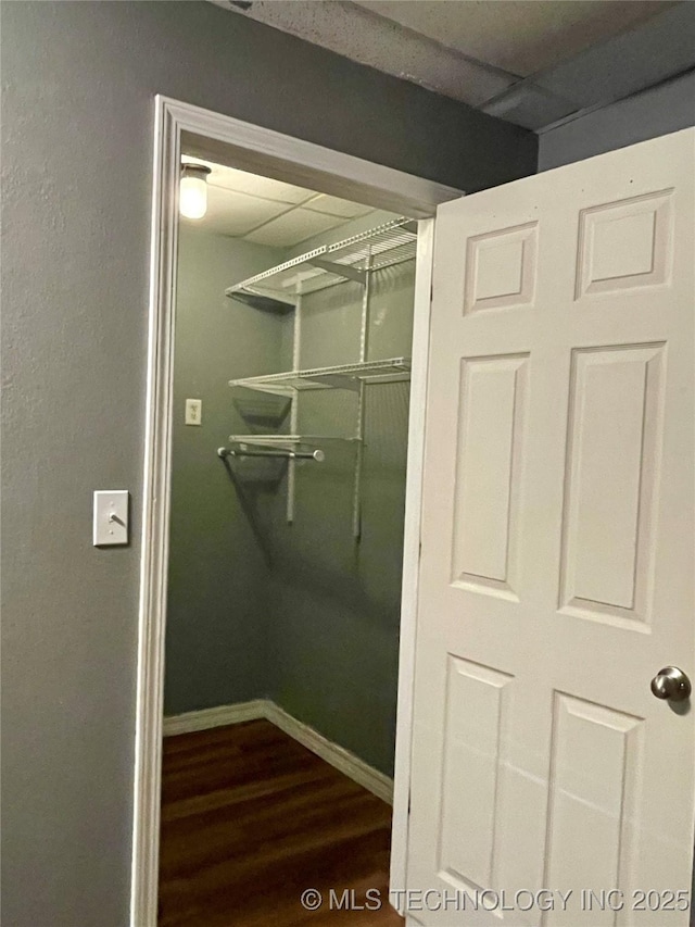 spacious closet featuring a paneled ceiling and dark wood-style flooring