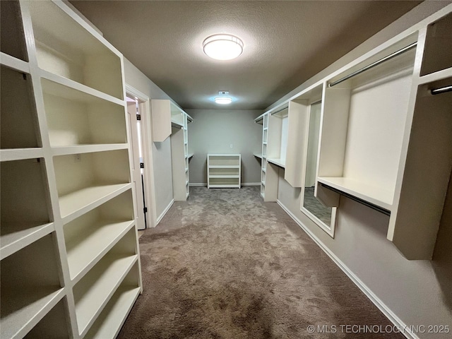 spacious closet with carpet flooring