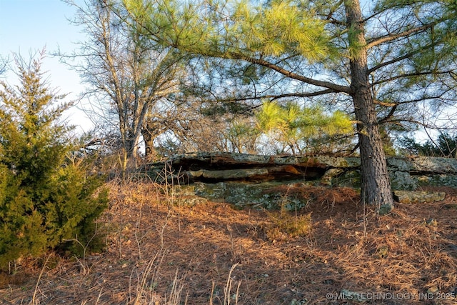 49721 E 95th Rd, Miami, OK 74354 - view of local wilderness