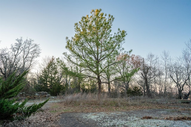 49721 E 95th Rd, Miami, OK 74354 - view of local wilderness