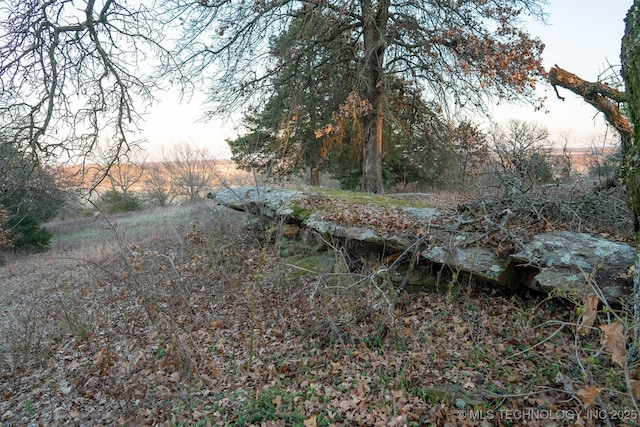 49721 E 95th Rd, Miami, OK 74354 - view of local wilderness