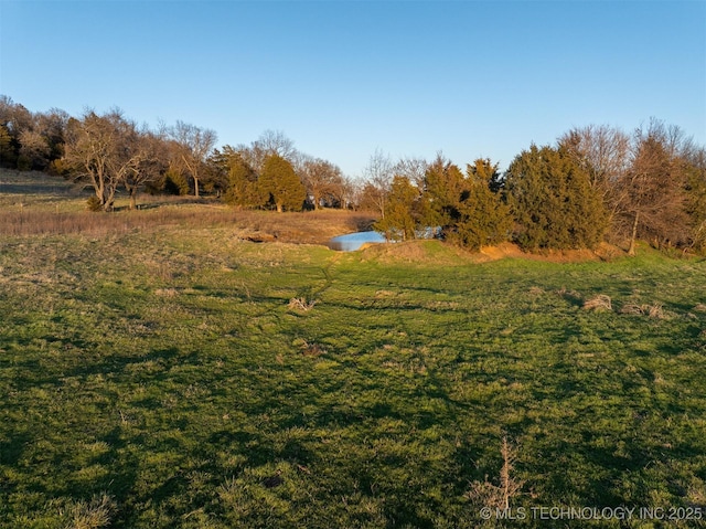49721 E 95th Rd, Miami, OK 74354 - view of yard with a view of trees