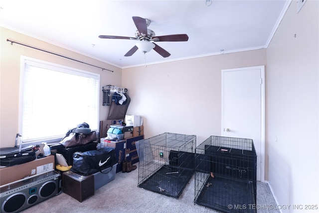 interior space with carpet, ceiling fan, and crown molding