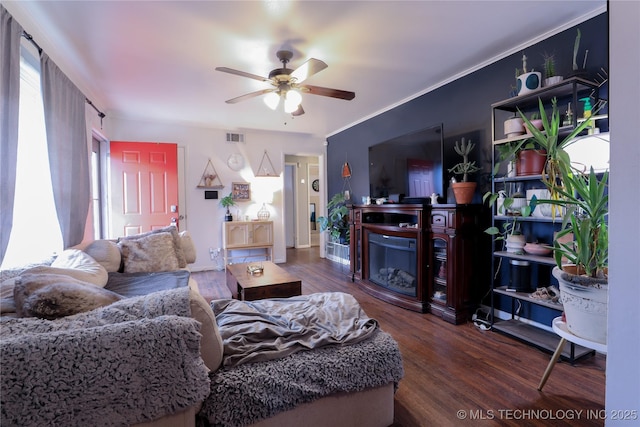 living area featuring ceiling fan, visible vents, and wood finished floors