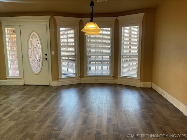 foyer entrance featuring a healthy amount of sunlight and dark wood finished floors