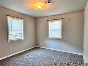 empty room featuring carpet flooring, visible vents, baseboards, and a wealth of natural light