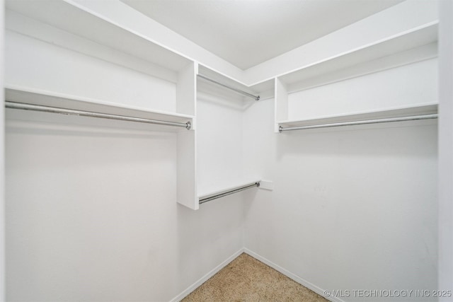 view of walk in closet