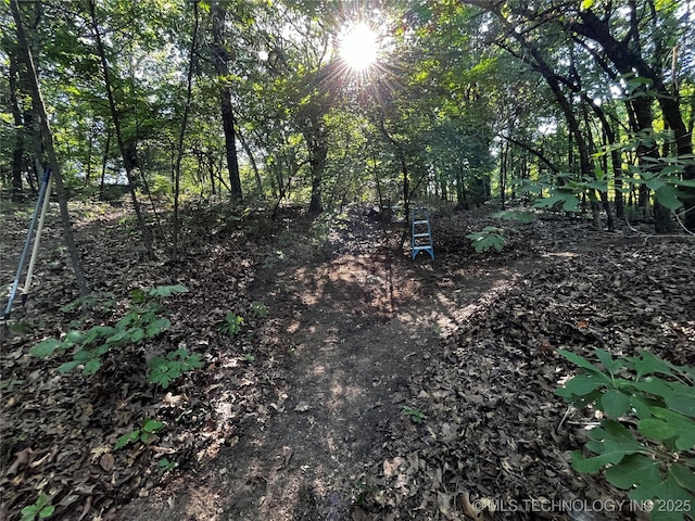 view of local wilderness