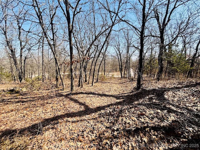 view of local wilderness