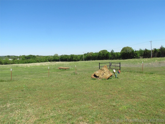 view of yard featuring a rural view