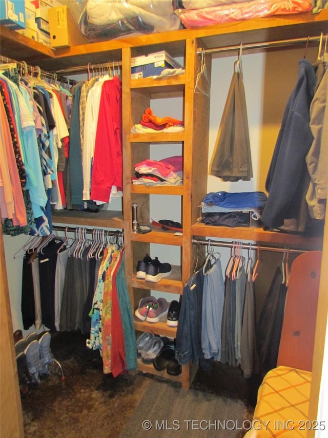 view of spacious closet