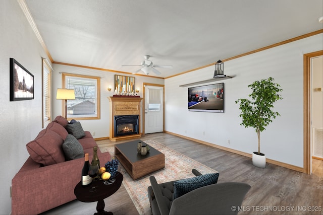 living room with ceiling fan, a glass covered fireplace, wood finished floors, and ornamental molding