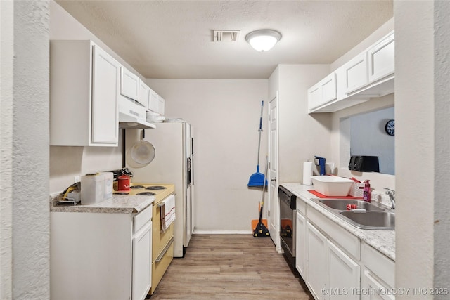 kitchen featuring light wood finished floors, a sink, under cabinet range hood, dishwasher, and white electric range