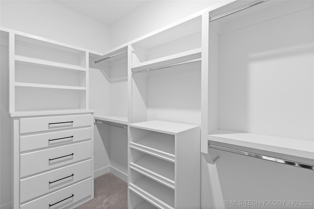 spacious closet featuring carpet