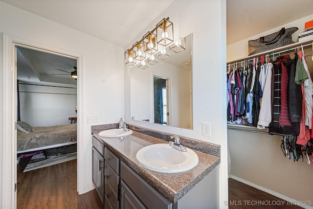 full bathroom featuring a sink, wood finished floors, and a spacious closet