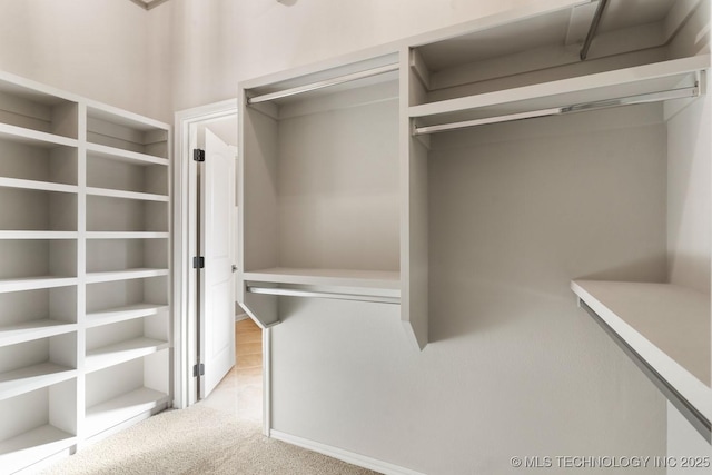 spacious closet featuring carpet floors